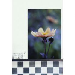 Tableau DAHLIA MIGNON