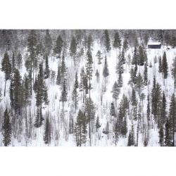 Tableau LAPLAND