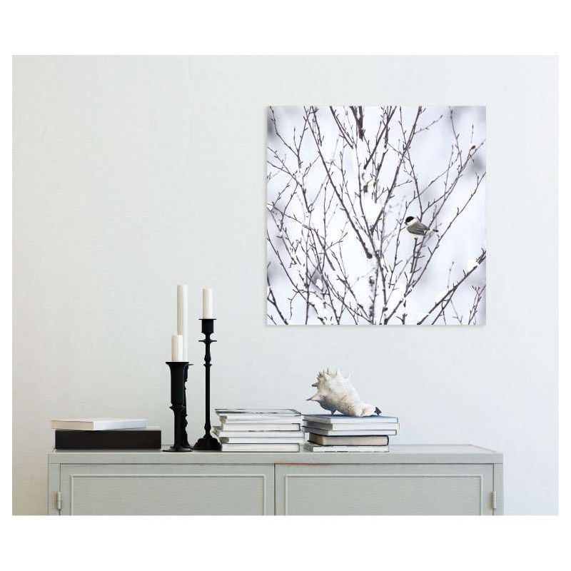 BOREAL SWAMP canvas print