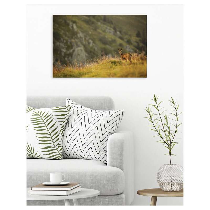 Tableau PETIT CHAMOIS