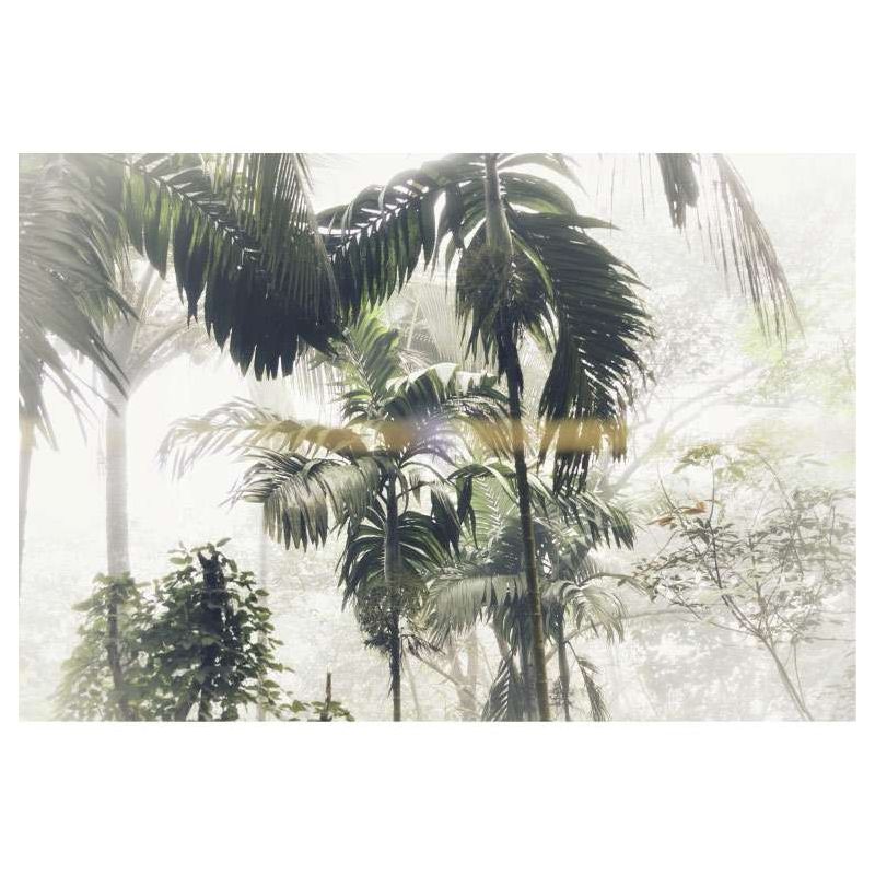 Poster PALM TREES - Poster chambre