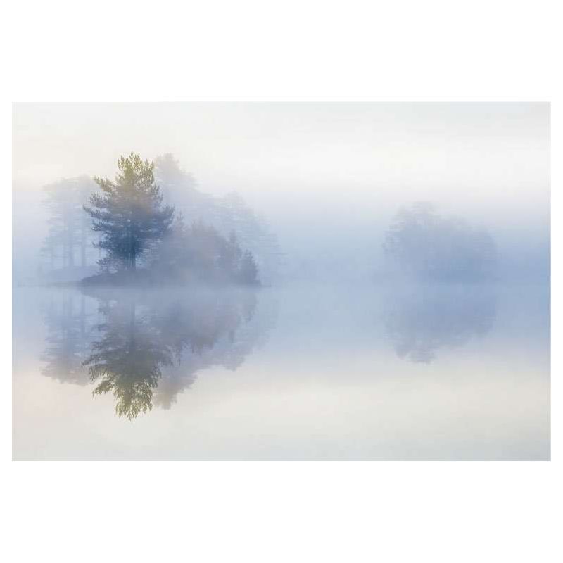 MOODY MORNING canvas print - Landscape and nature canvas