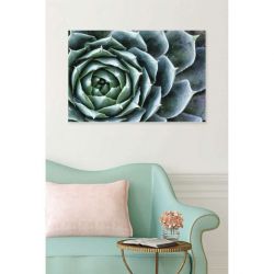 ECHEVERIA canvas