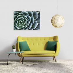 Cadre décoratif avec succulente Echeveria aux formes graphiques