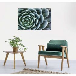 Toile murale plante grasse Echeveria au style botanique