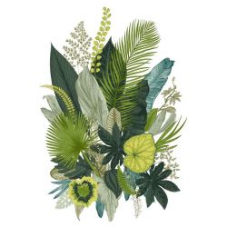 Lienzo ILUSTRACIÓN BOTÁNICA