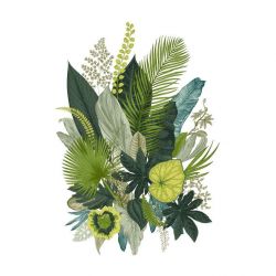 BOTANICAL ILLUSTRATION wall hanging