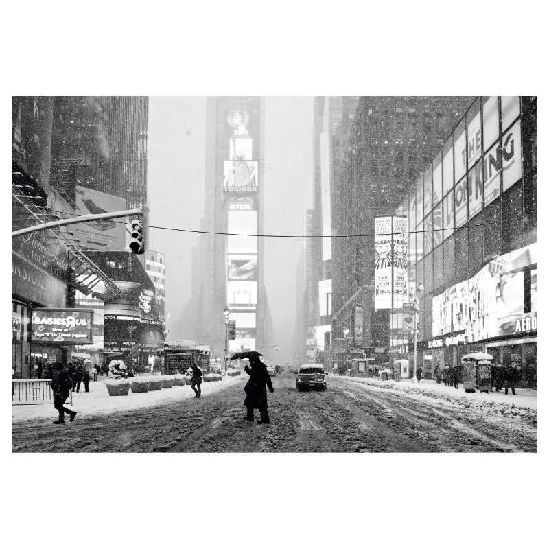 NY UNDER THE SNOW poster - Black and white posters