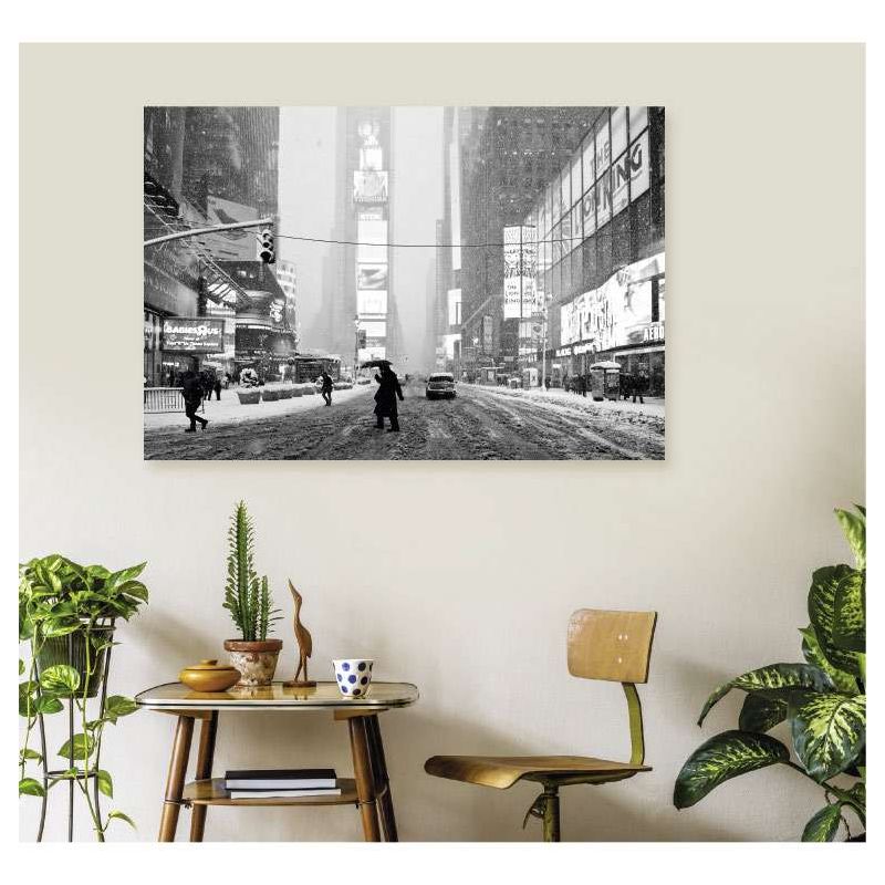 NY UNDER THE SNOW poster
