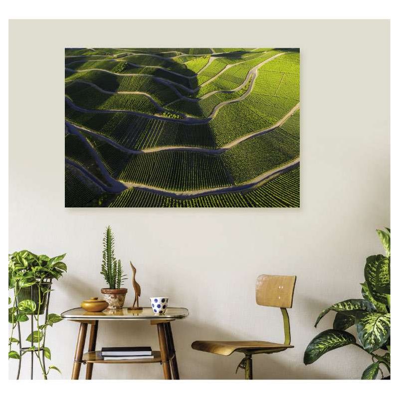 Póster Ruta del vino