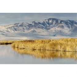 Lienzo BEAR RIVER UTAH