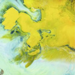 Tableau YELLOW PIGMENTS