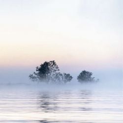 Lienzo DELTA DEL DANUBIO