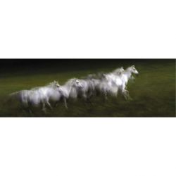 Tableau LIPIZZAN