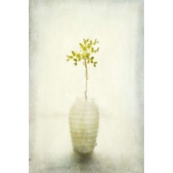 YELLOW INTERIOR LIGHTS canvas print