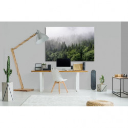 MISTY FOREST Canvas print