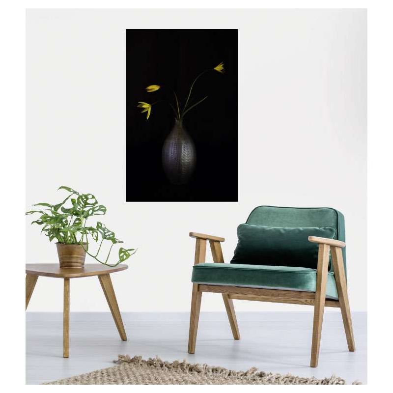 WILD TULIPS canvas print