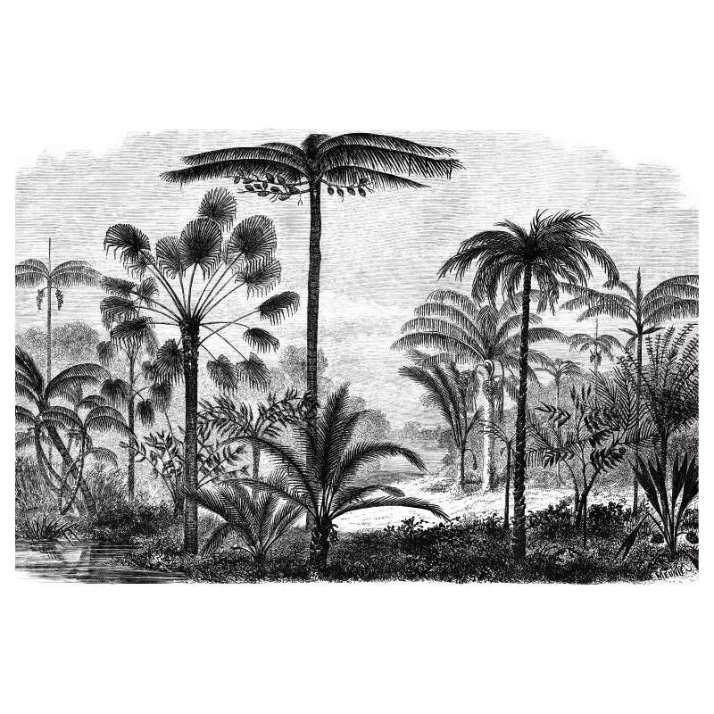 PALM TREE ENGRAVING canvas print - Jungle canvas print