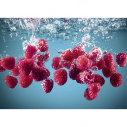 RASPBERRY BUBBLES canvas print