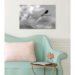 Tableau LIBELLULE
