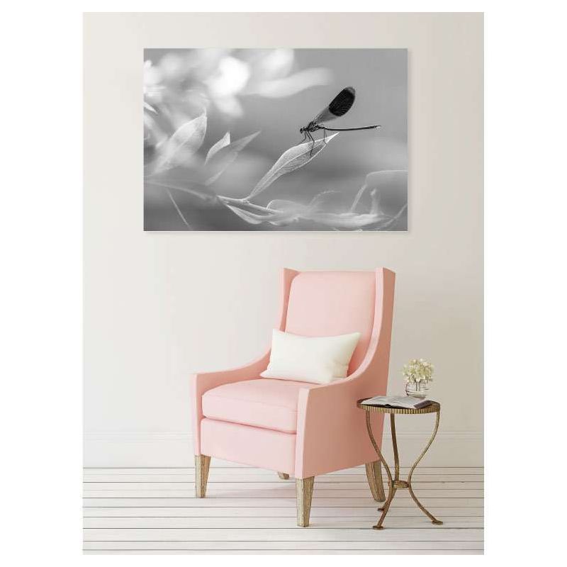Tableau LIBELLULE
