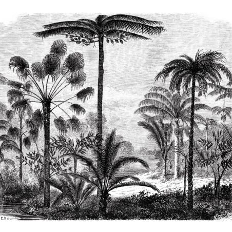 Tapisserie gravure paysage de jungle