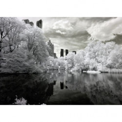 CENTRAL PARK B&W Canvas print