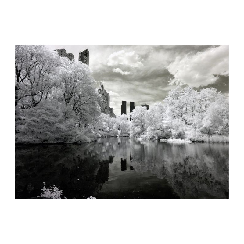 CENTRAL PARK B&W Canvas print - Xxl canvas prints