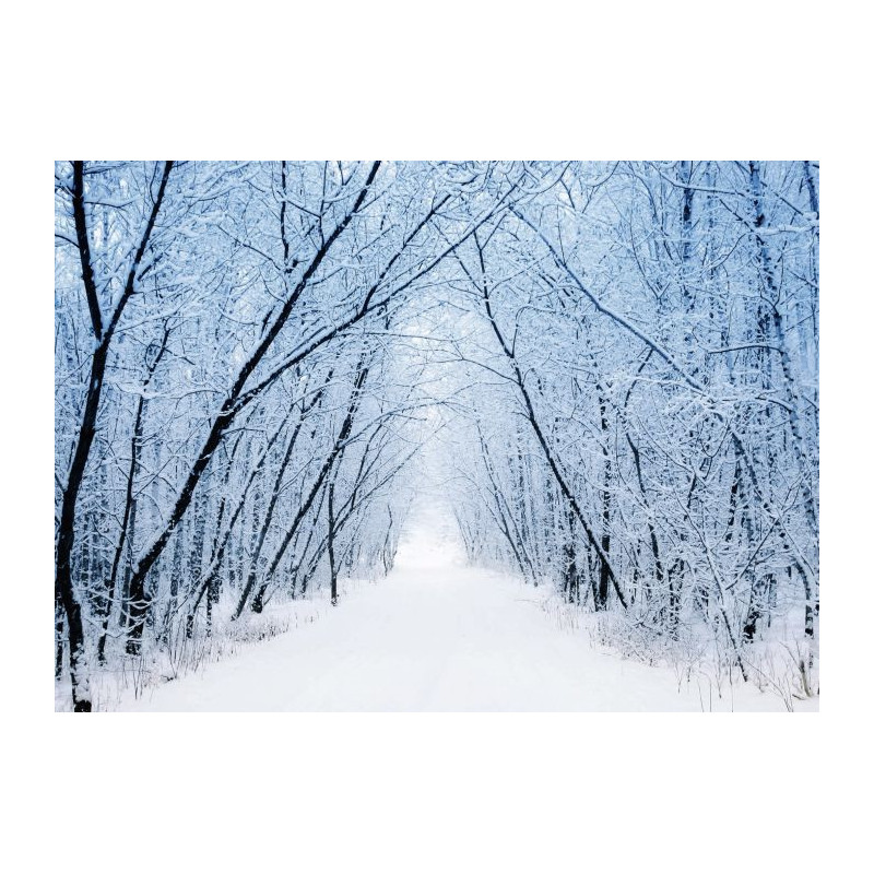 WHITE ROAD Canvas print - Living room canvas print