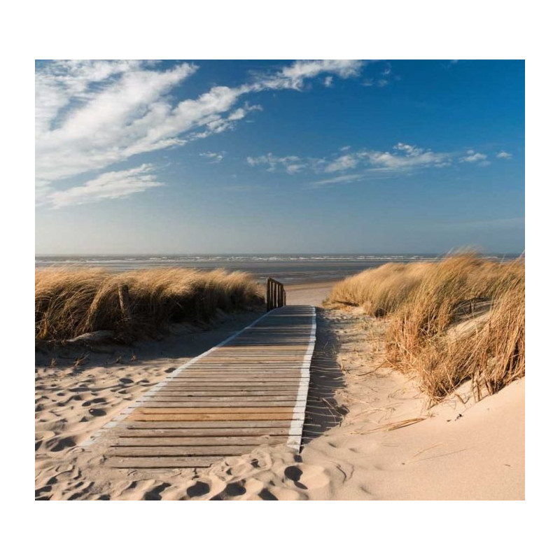 PATH OF THE DUNES  Poster - Panoramic poster