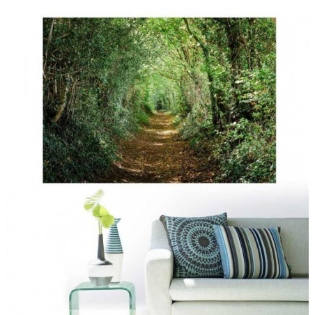 Poster CHEMIN VERT pour salon