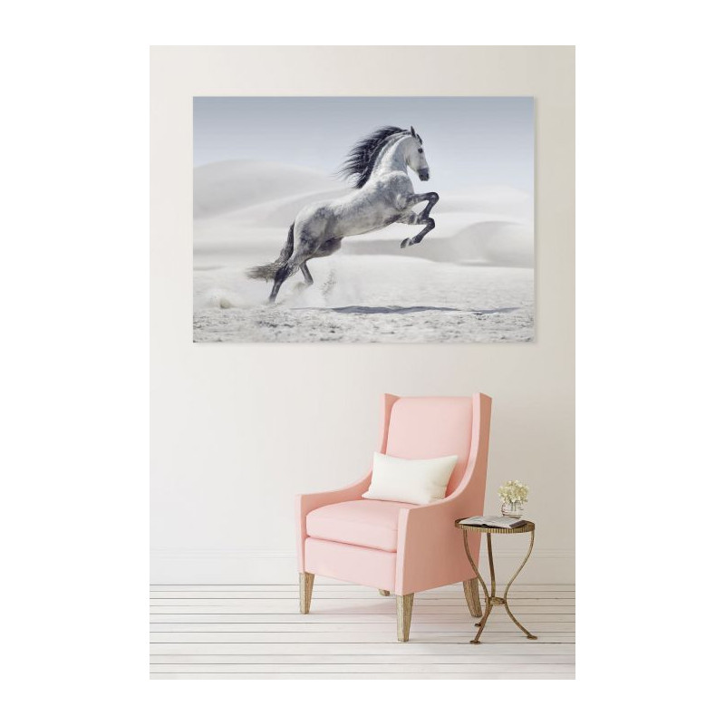 HORSE IN THE DESERT Canvas print