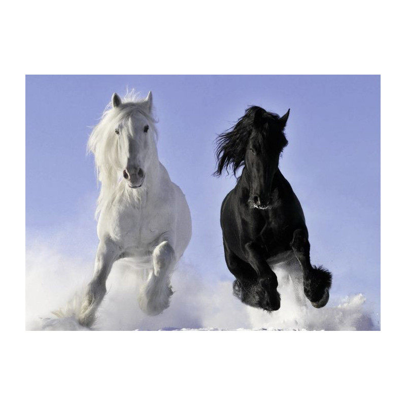 HORSES Canvas print - Animal canvas print