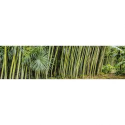 Brise vue impression haie de bambous