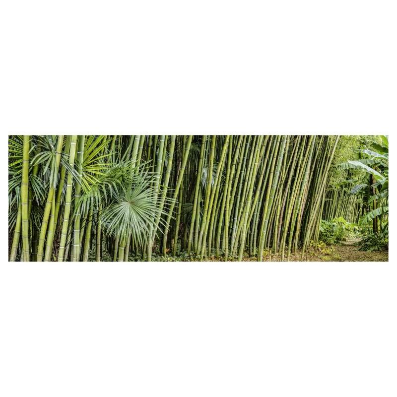 ZAQI Valla ocultacion Jardin seto, Pantalla De Privacidad De Bambú