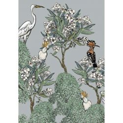 Poster botanique avec laurier blanc et oiseaux