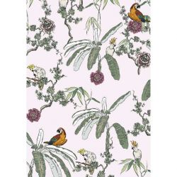 Poster perroquets avec fleurs et feuillage tropical