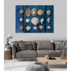 SHELL COLLECTION canvas print