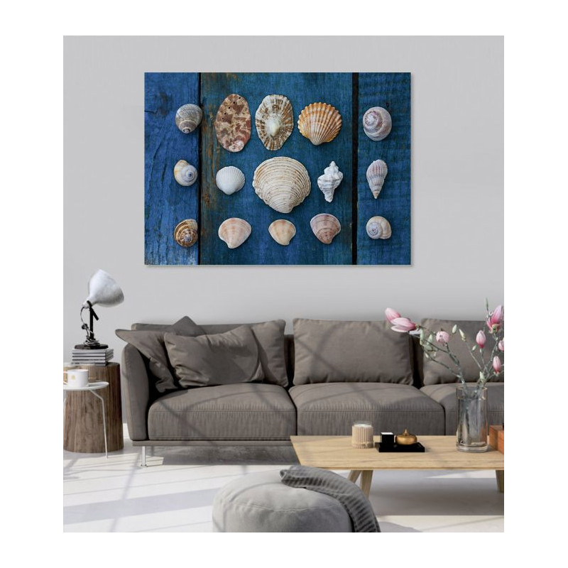 SHELL COLLECTION canvas print