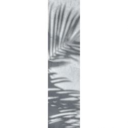 PALM SHADOW