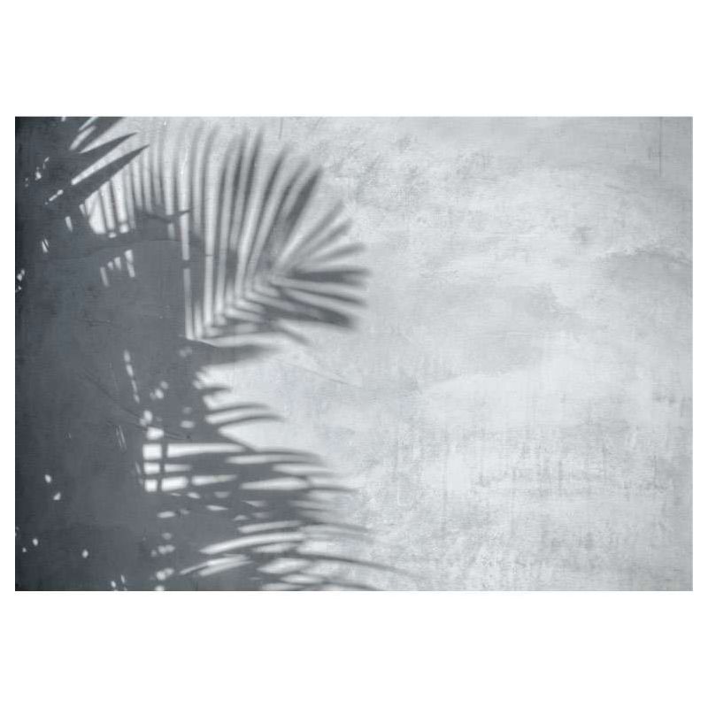 PALM SHADOW poster - Landscape and nature poster