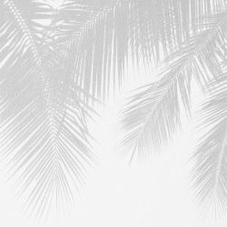 A L'OMBRE DES PALMIERS