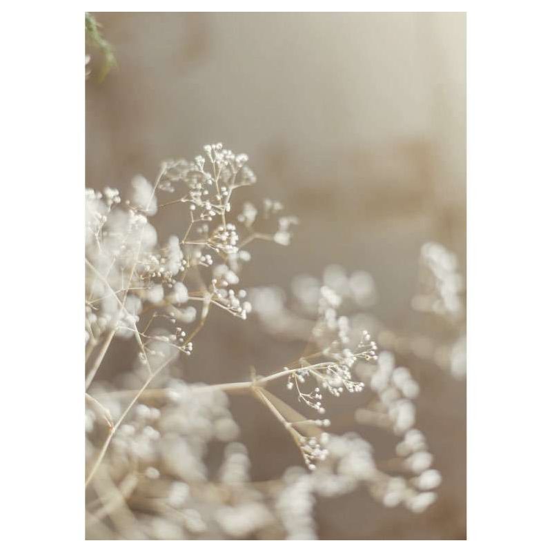 Tableau GYPSOPHILA - Tableau fleurs