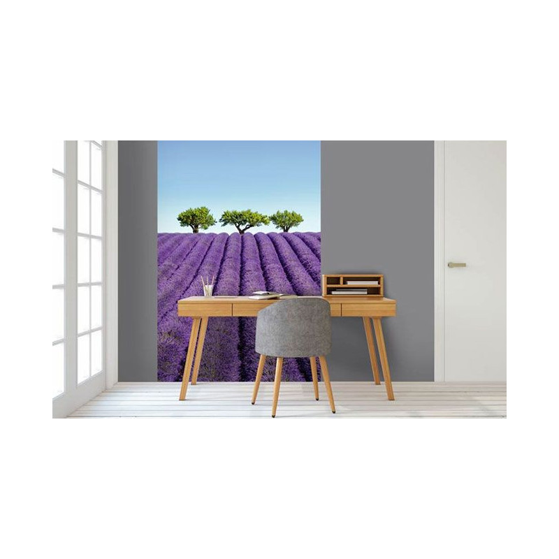 Tapiz para pared COLOR LAVANDA