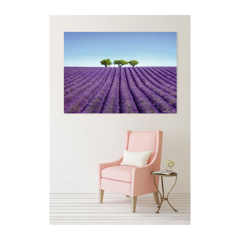 COLOUR LAVENDER canvas print