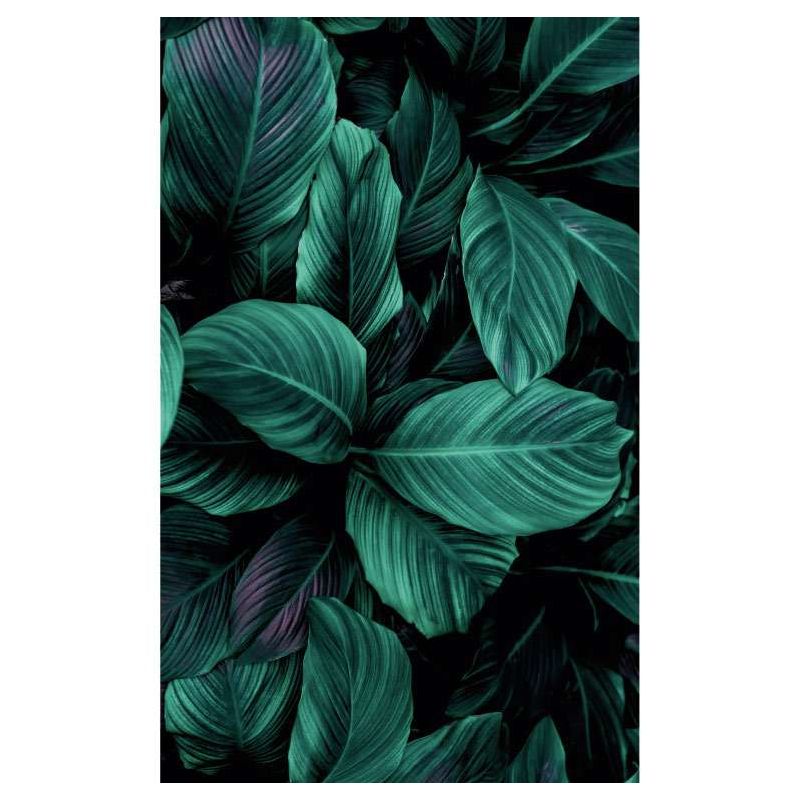 CHLOROPHYLLE wallpaper - Plant wallpaper