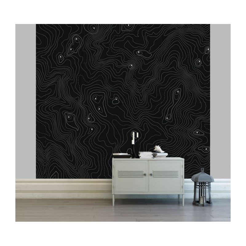 CONTOUR LINES Poster