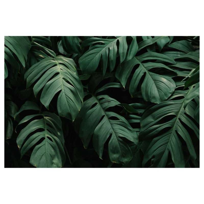 PLANT GROWTH wallpaper - Plant wallpaper
