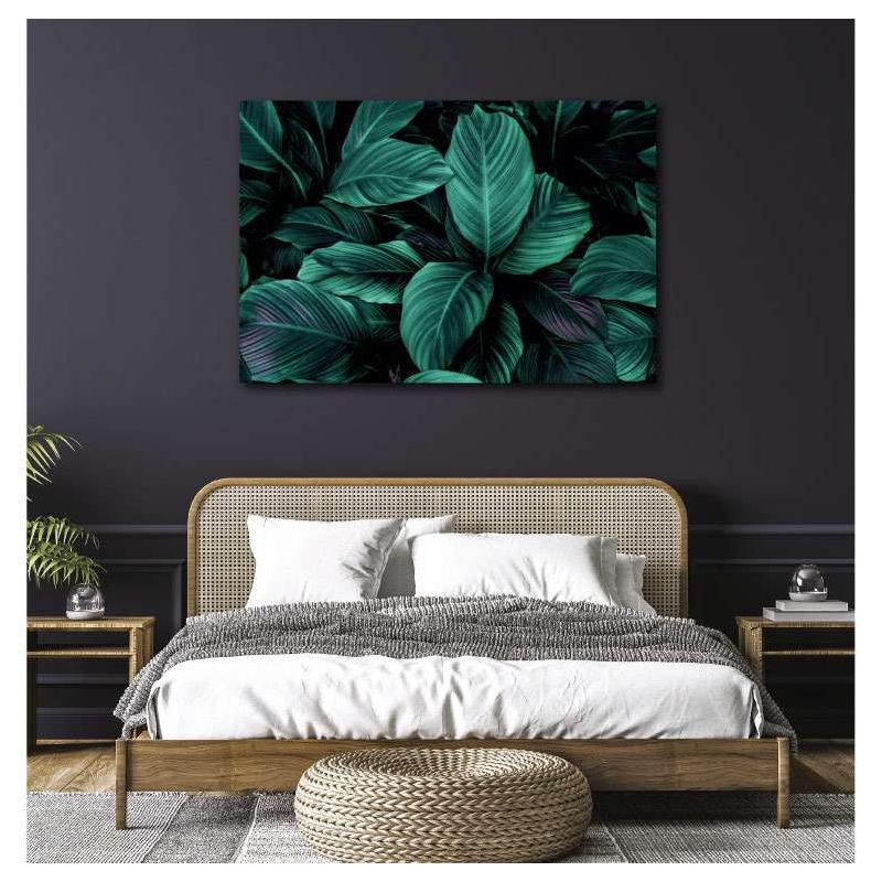 Poster CHLOROPHYLLE