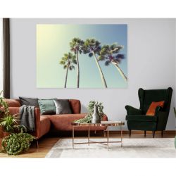 Poster sous les palmiers avec vue vers le ciel tropical